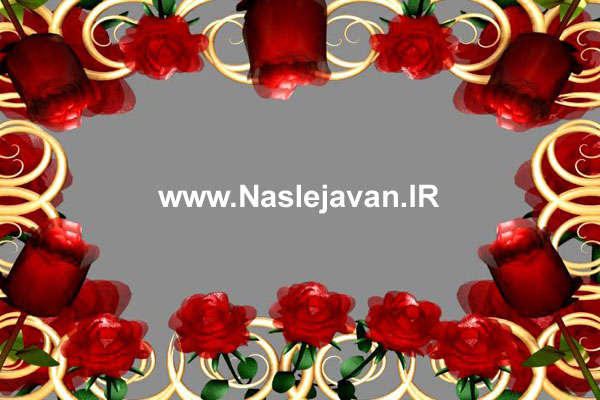 Naslejavan-border3