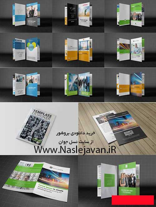 Business-Brochure3
